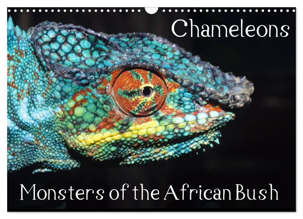 Chameleons Monsters of the African Bush (CALVENDO Monthly Calendar 2025)