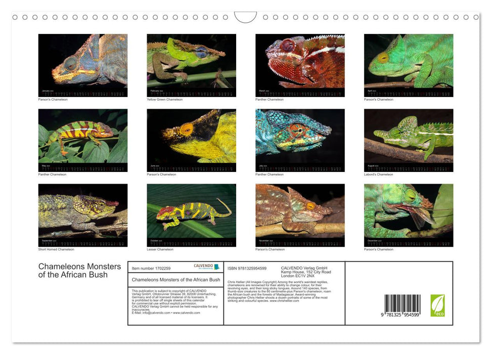 Chameleons Monsters of the African Bush (CALVENDO Monthly Calendar 2025)