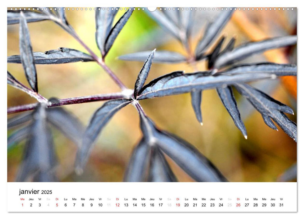 Giverny Les jardins (CALVENDO Calendrier supérieur 2025)