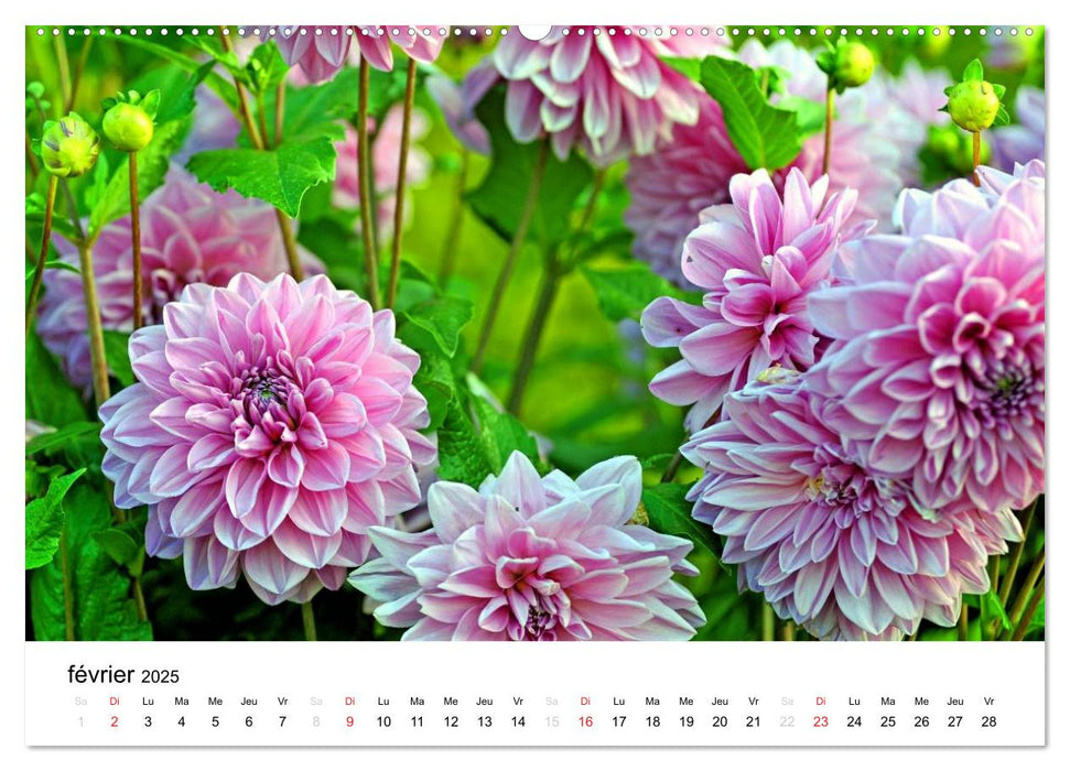 Giverny Les jardins (CALVENDO Calendrier supérieur 2025)