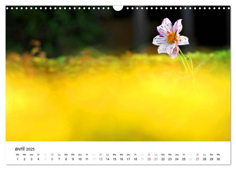 Giverny Les jardins (CALVENDO Calendrier mensuel 2025)