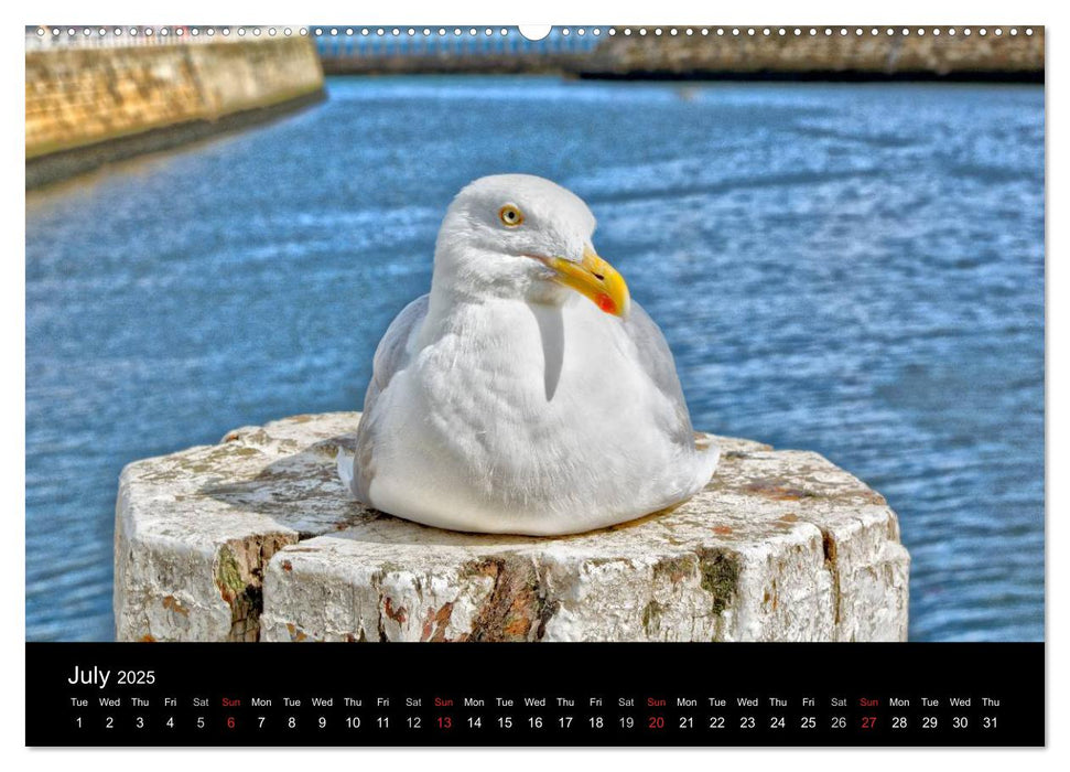 Whitby Harbour (CALVENDO Premium-Calendar 2025)