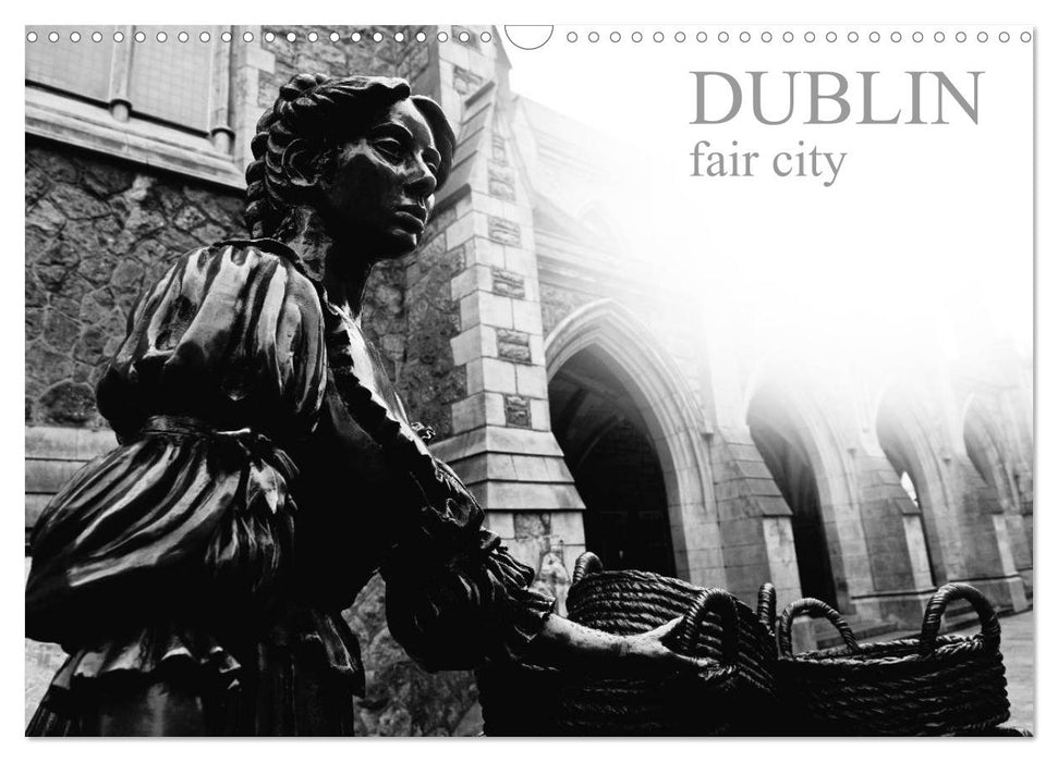 Dublin fair city (CALVENDO Monthly Calendar 2025)