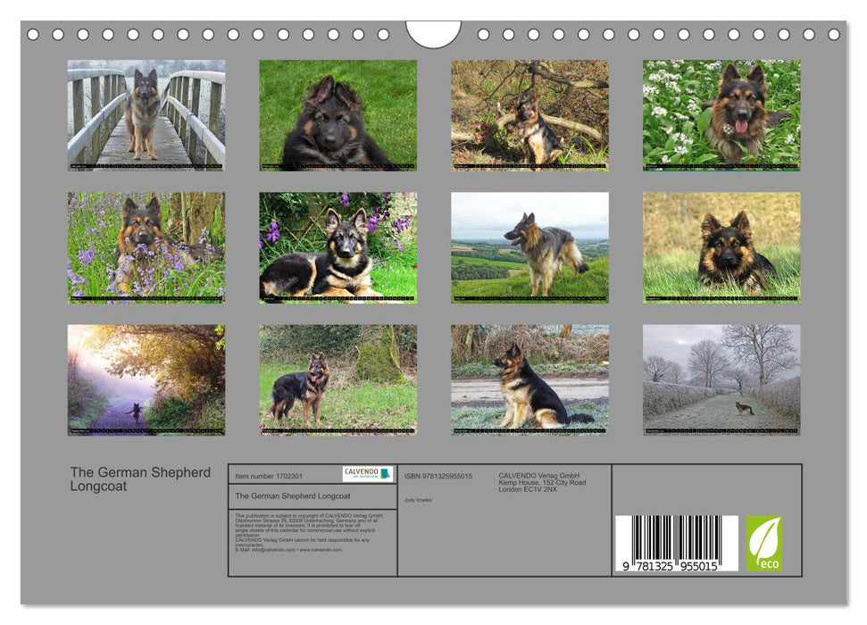 The German Shepherd Longcoat (CALVENDO Monthly Calendar 2025)