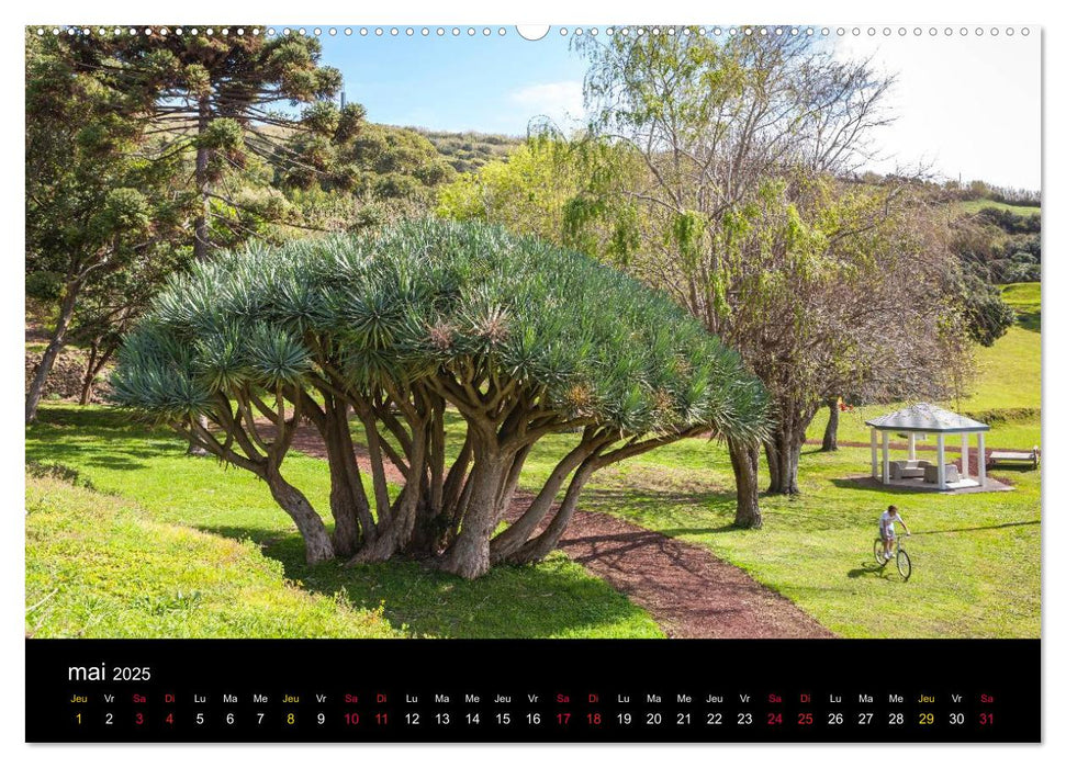 Archipel des Açores (CALVENDO Calendrier supérieur 2025)