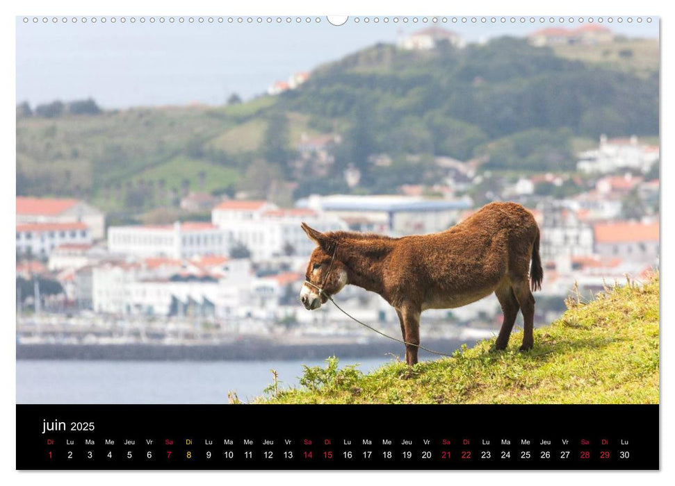 Archipel des Açores (CALVENDO Calendrier supérieur 2025)