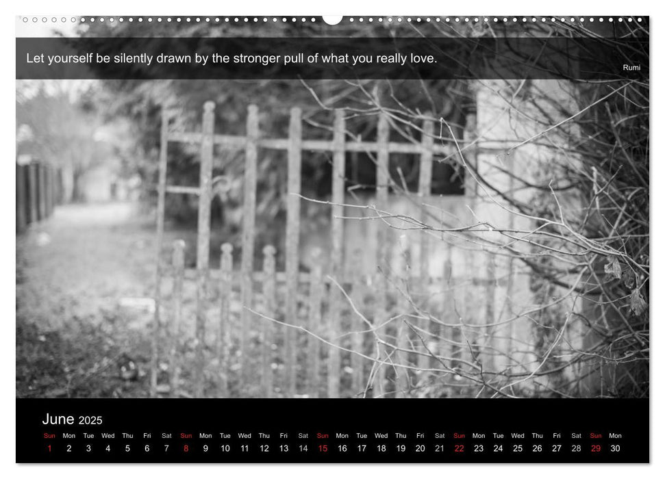 Through the Gate with Rumi (CALVENDO Premium-Calendar 2025)