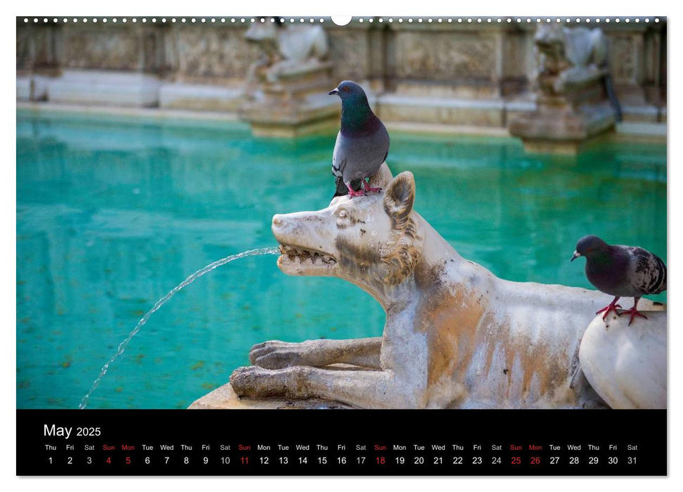 Scenes of Italy Florence Siena Venice (CALVENDO Premium-Calendar 2025)