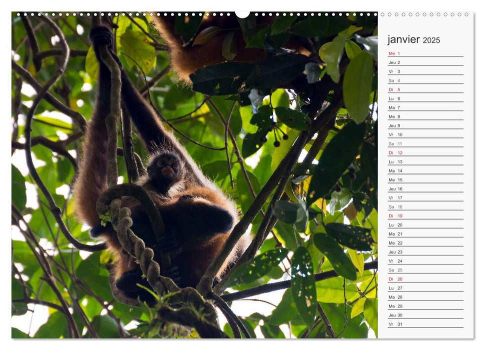 ¡Pura Vida! au Costa Rica (CALVENDO Calendrier supérieur 2025)