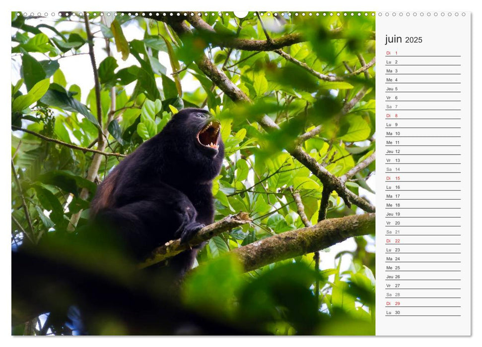 ¡Pura Vida! au Costa Rica (CALVENDO Calendrier supérieur 2025)