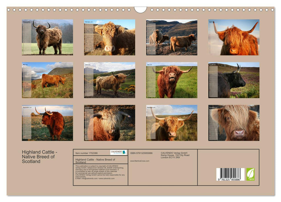 Highland Cattle - Native Breed of Scotland (CALVENDO Monthly Calendar 2025)