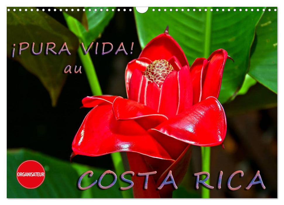 ¡Pura Vida! au Costa Rica (CALVENDO Calendrier mensuel 2025)