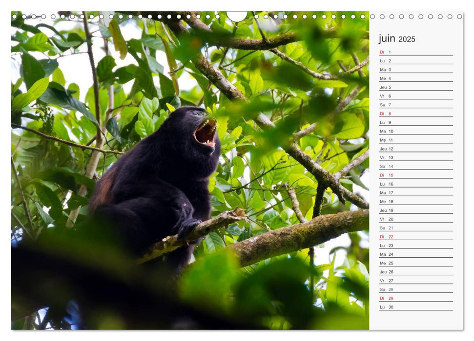 ¡Pura Vida! au Costa Rica (CALVENDO Calendrier mensuel 2025)