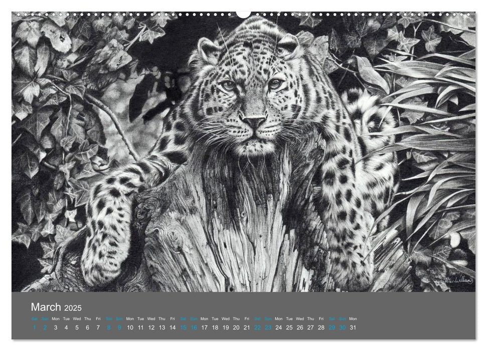 Mighty Fine Art Drawn Wild 2025 (CALVENDO Premium-Calendar 2025)