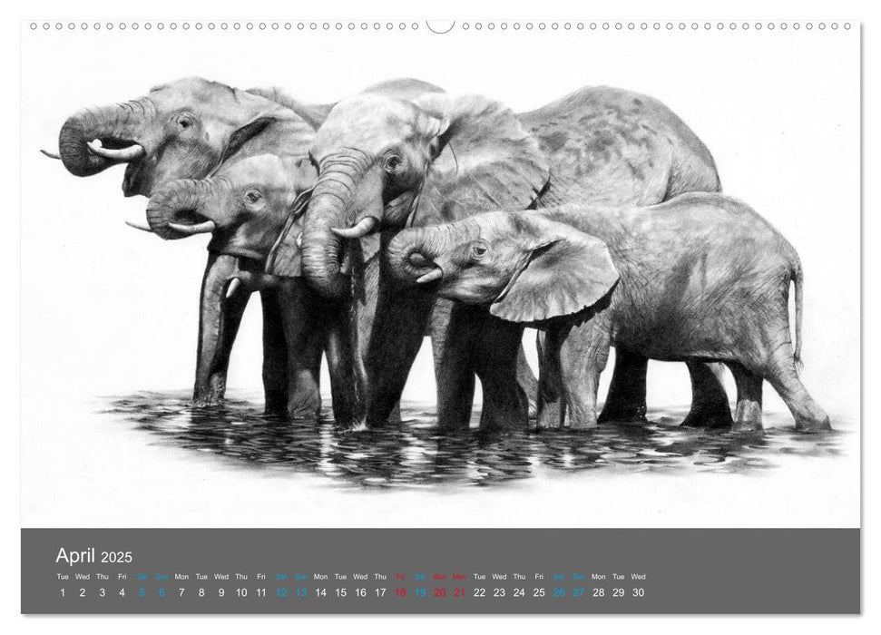 Mighty Fine Art Drawn Wild 2025 (CALVENDO Premium-Calendar 2025)