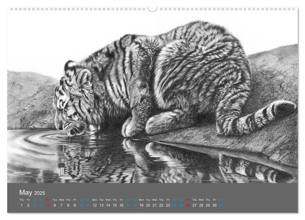 Mighty Fine Art Drawn Wild 2025 (CALVENDO Premium-Calendar 2025)