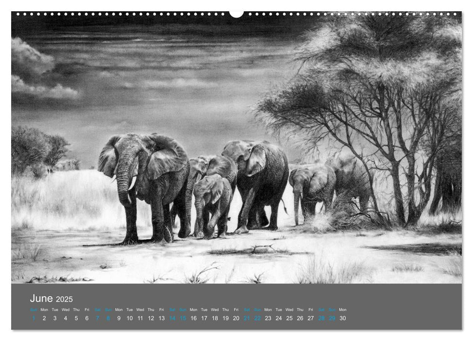 Mighty Fine Art Drawn Wild 2025 (CALVENDO Premium-Calendar 2025)