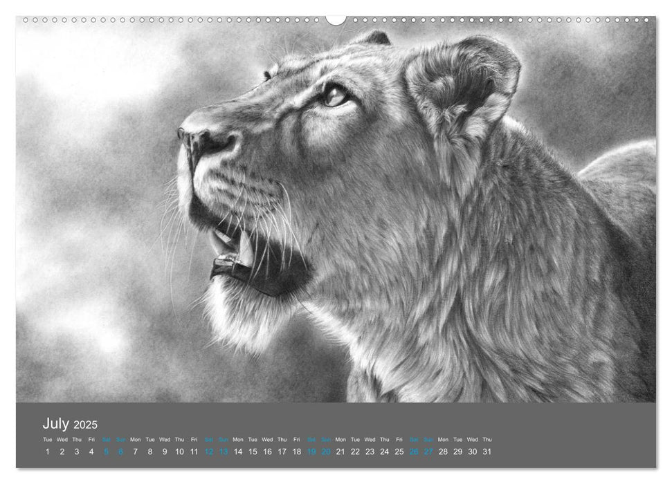 Mighty Fine Art Drawn Wild 2025 (CALVENDO Premium-Calendar 2025)