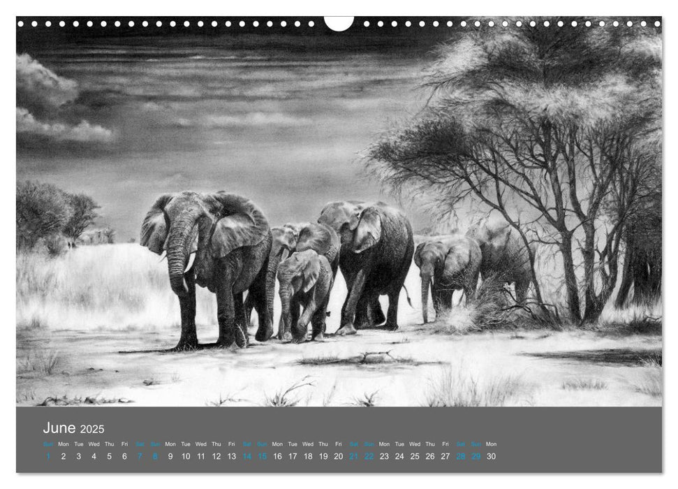 Mighty Fine Art Drawn Wild 2025 (CALVENDO Monthly Calendar 2025)