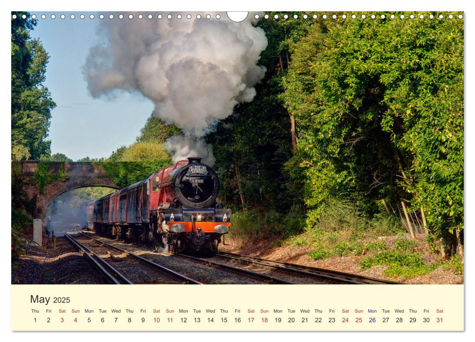 Steam Landscape (CALVENDO Monthly Calendar 2025)