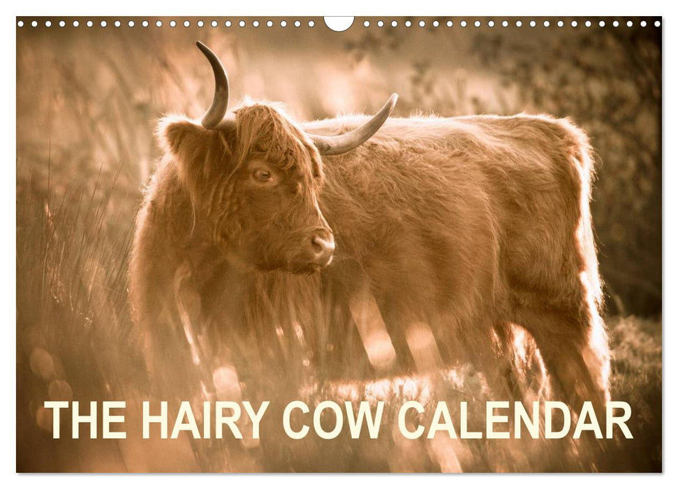 The Hairy Cow Calendar (CALVENDO Monthly Calendar 2025)