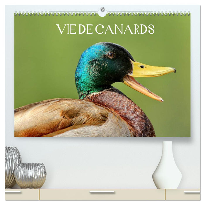 Vie de canards (CALVENDO Calendrier supérieur 2025)