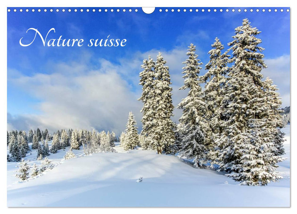 Nature suisse (CALVENDO Calendrier mensuel 2025)