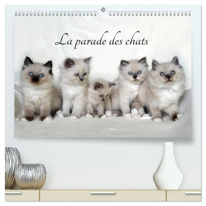 La parade des chats (CALVENDO Calendrier supérieur 2025)