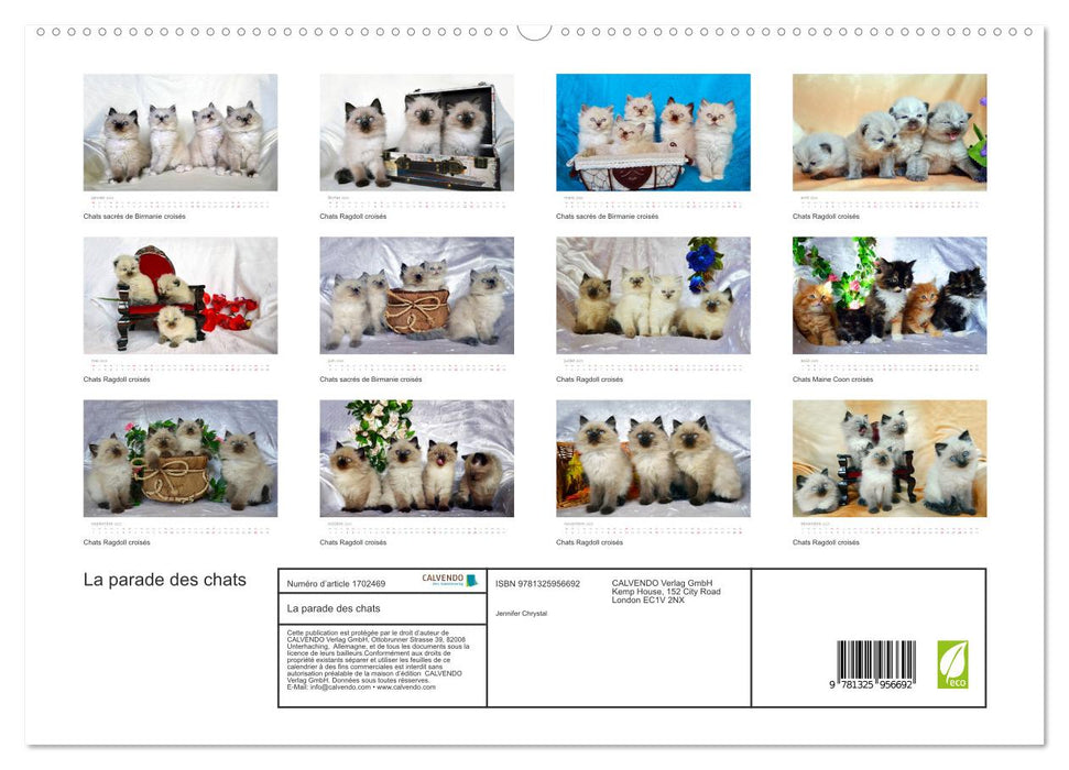 La parade des chats (CALVENDO Calendrier supérieur 2025)