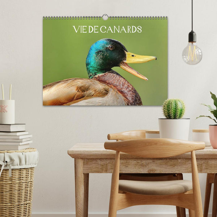 Vie de canards (CALVENDO Calendrier mensuel 2025)