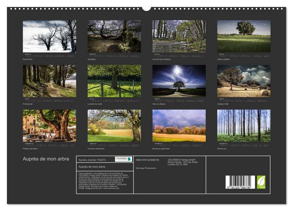 Auprès de mon arbre (CALVENDO Calendrier supérieur 2025)