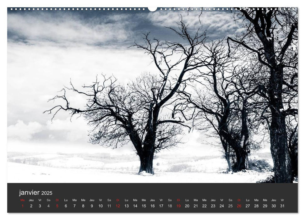 Auprès de mon arbre (CALVENDO Calendrier supérieur 2025)