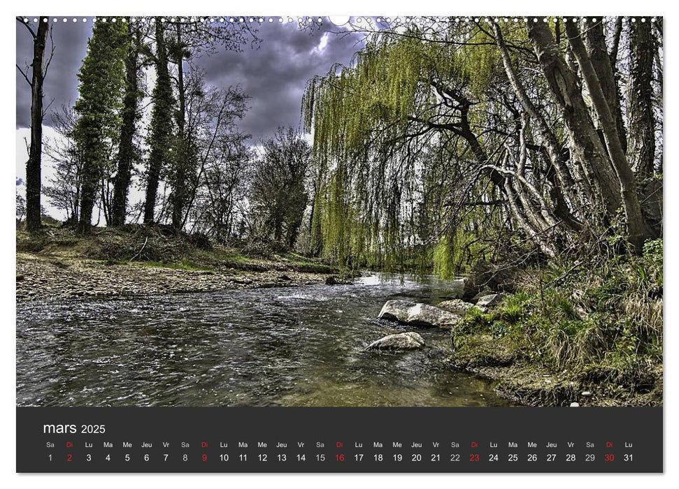 Auprès de mon arbre (CALVENDO Calendrier supérieur 2025)