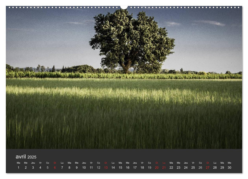 Auprès de mon arbre (CALVENDO Calendrier supérieur 2025)