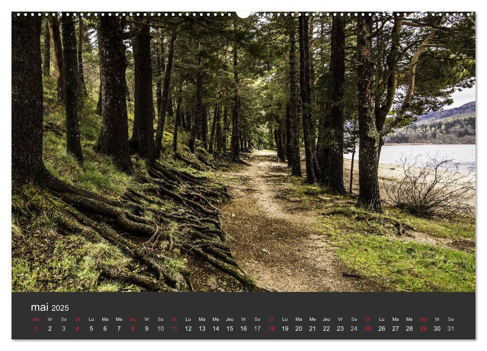 Auprès de mon arbre (CALVENDO Calendrier supérieur 2025)