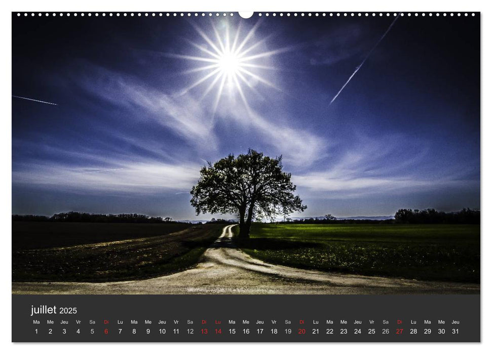 Auprès de mon arbre (CALVENDO Calendrier supérieur 2025)