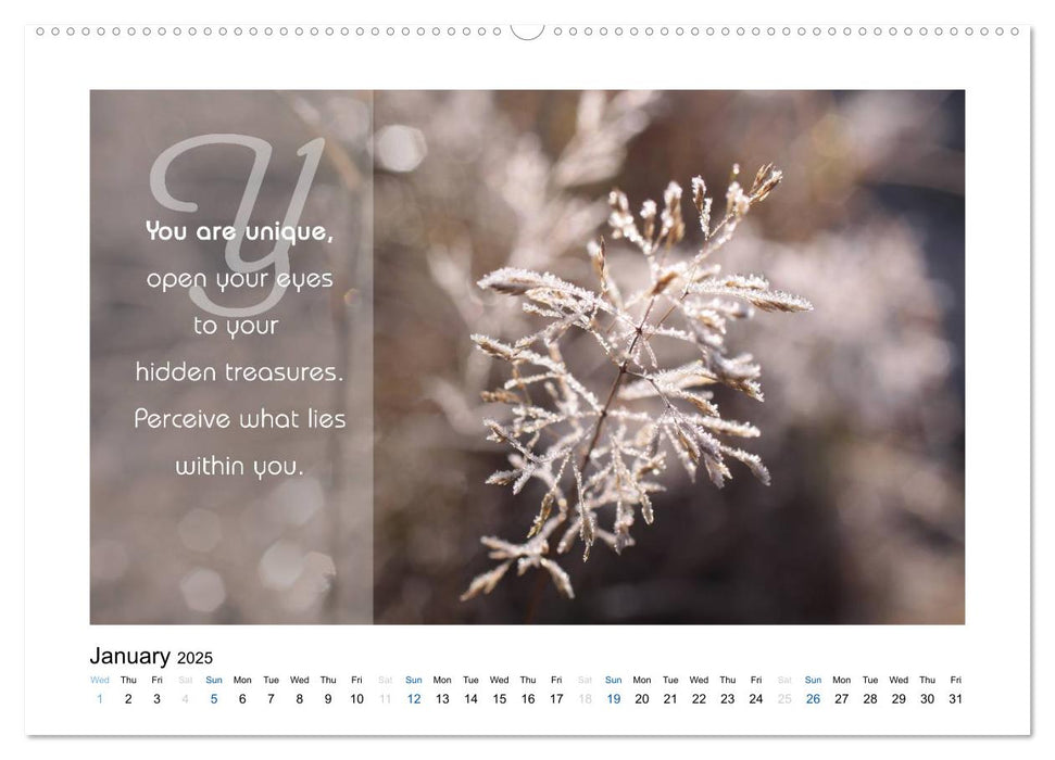 Pearls of Wisdom (CALVENDO Premium-Calendar 2025)