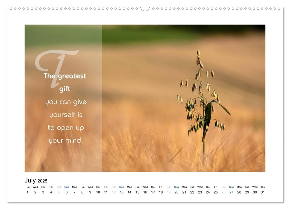 Pearls of Wisdom (CALVENDO Premium-Calendar 2025)