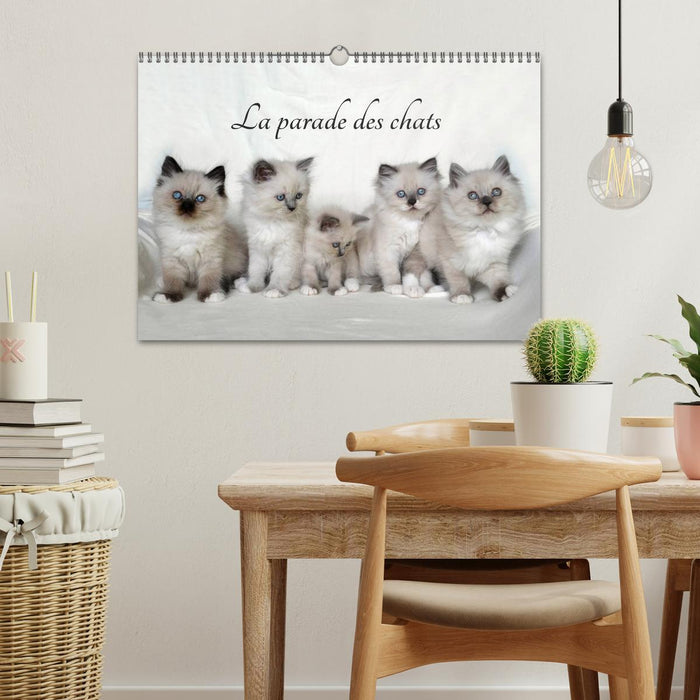 La parade des chats (CALVENDO Calendrier mensuel 2025)