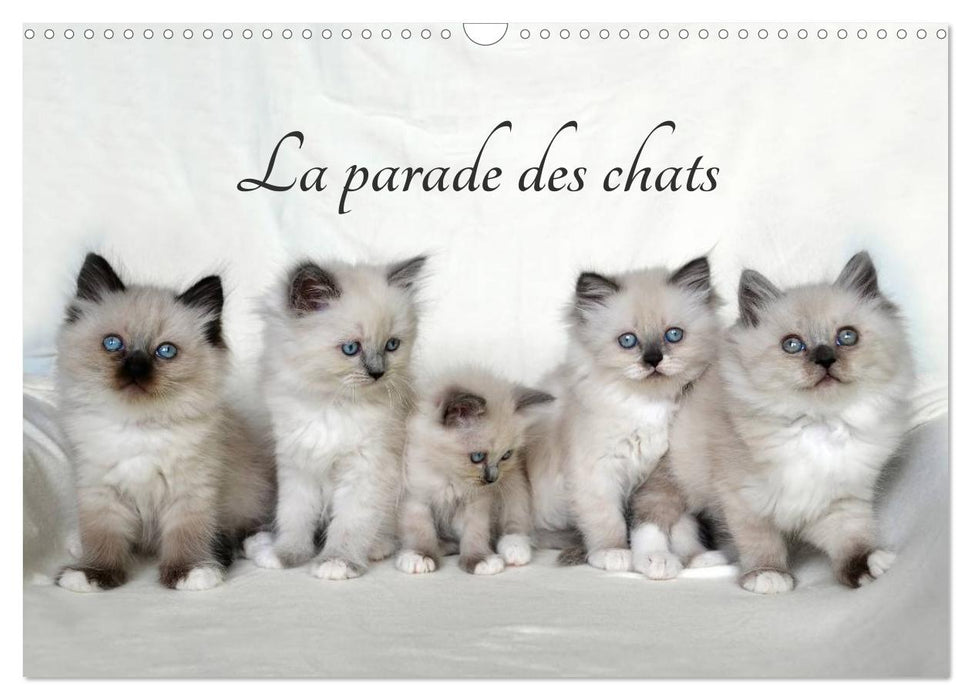 La parade des chats (CALVENDO Calendrier mensuel 2025)