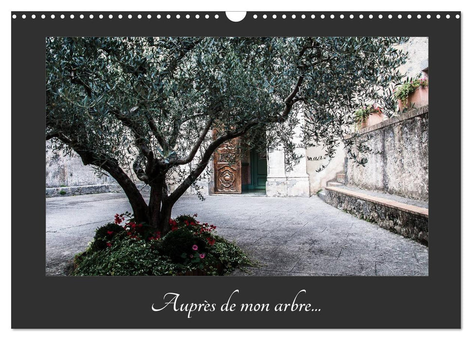 Auprès de mon arbre (CALVENDO Calendrier mensuel 2025)