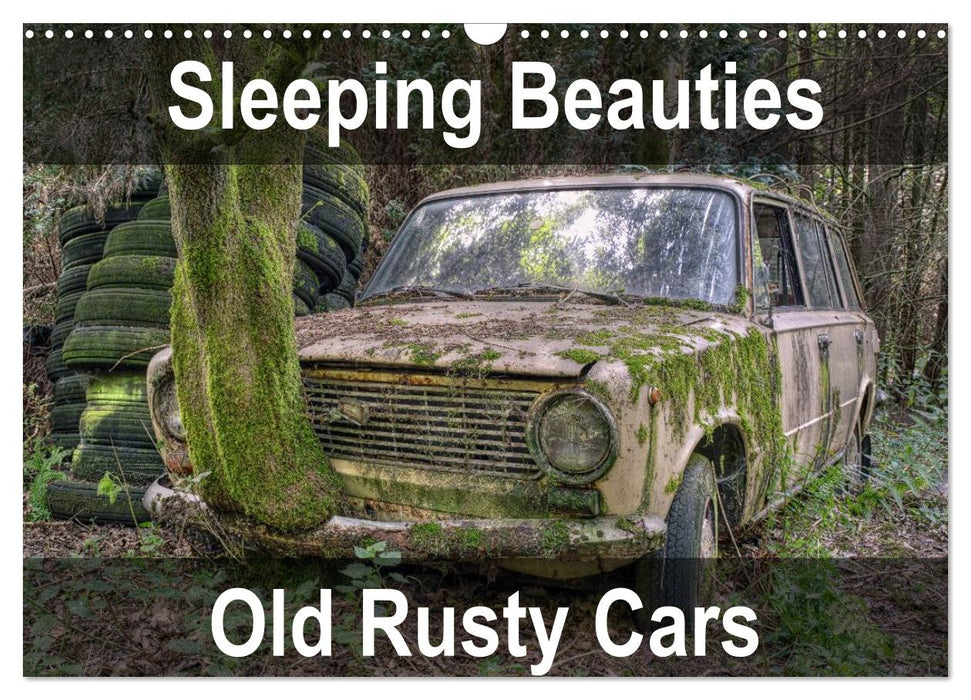 Sleeping Beauties Old Rusty Cars (CALVENDO Monthly Calendar 2025)