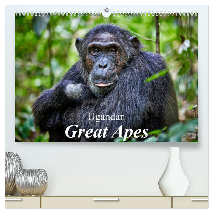 Ugandan Great Apes (CALVENDO Premium-Calendar 2025)