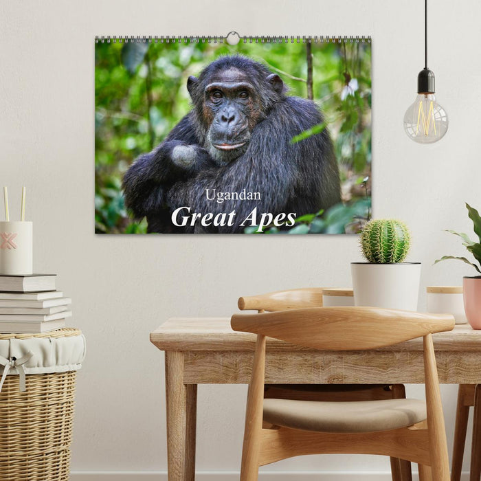 Ugandan Great Apes (CALVENDO Monthly Calendar 2025)