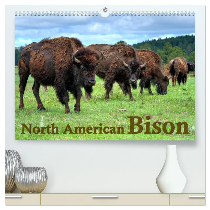 North American Bison (CALVENDO Premium-Calendar 2025)