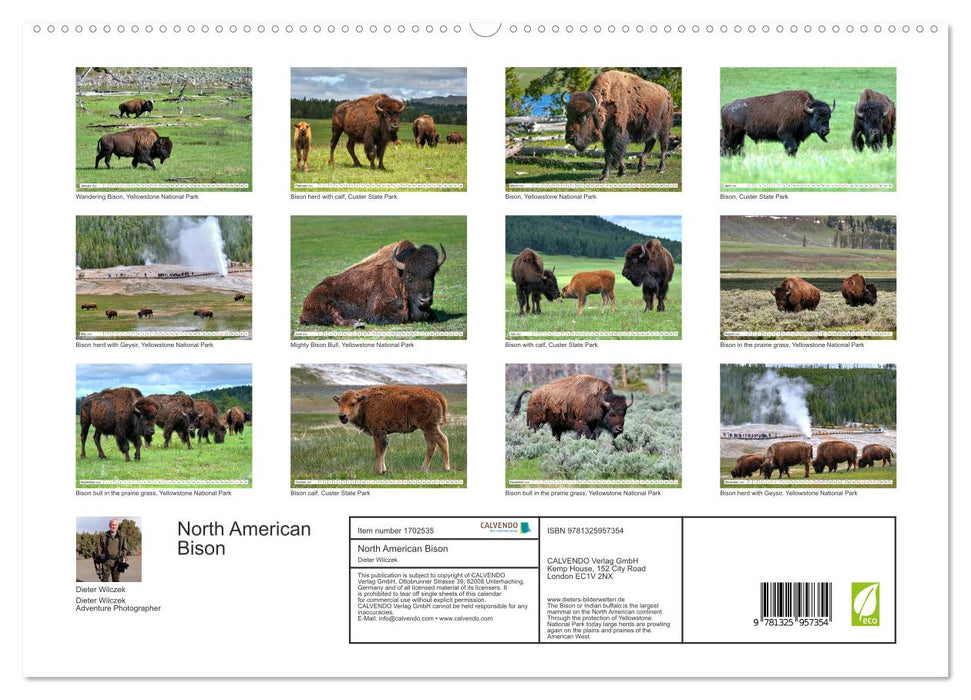 North American Bison (CALVENDO Premium-Calendar 2025)