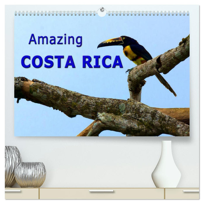 Amazing Costa Rica (CALVENDO Premium-Calendar 2025)