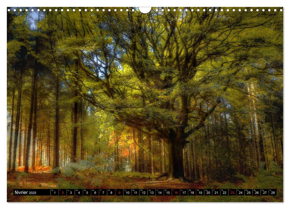 BROCELIANDE, sur les pas de Merlin (CALVENDO Calendrier mensuel 2025)