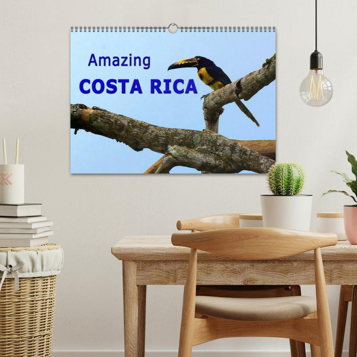 Amazing Costa Rica (CALVENDO Monthly Calendar 2025)