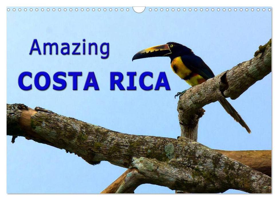 Amazing Costa Rica (CALVENDO Monthly Calendar 2025)